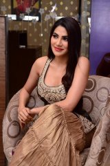 Nikki Tamboli at Kanchana 3 Success Meet